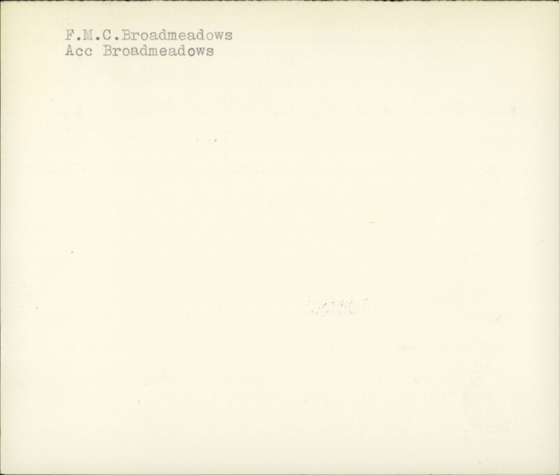 203517163_0002.jpg