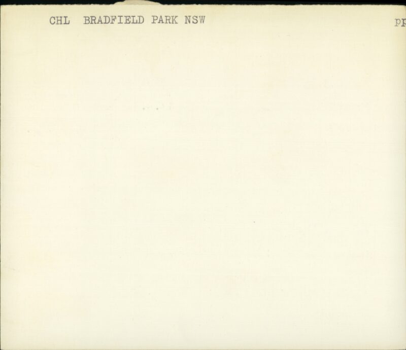 203517178_0002.jpg