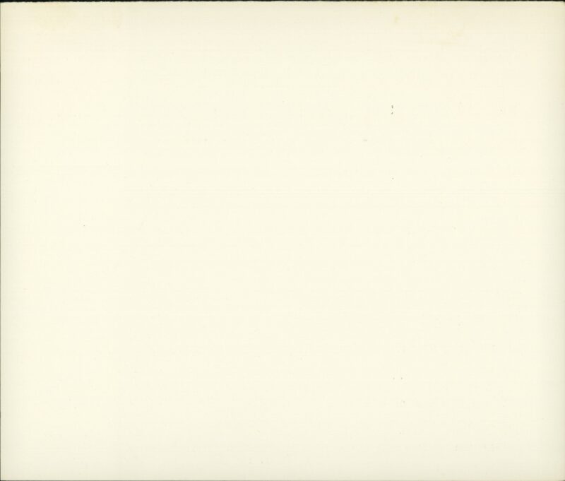 203517199_0002.jpg