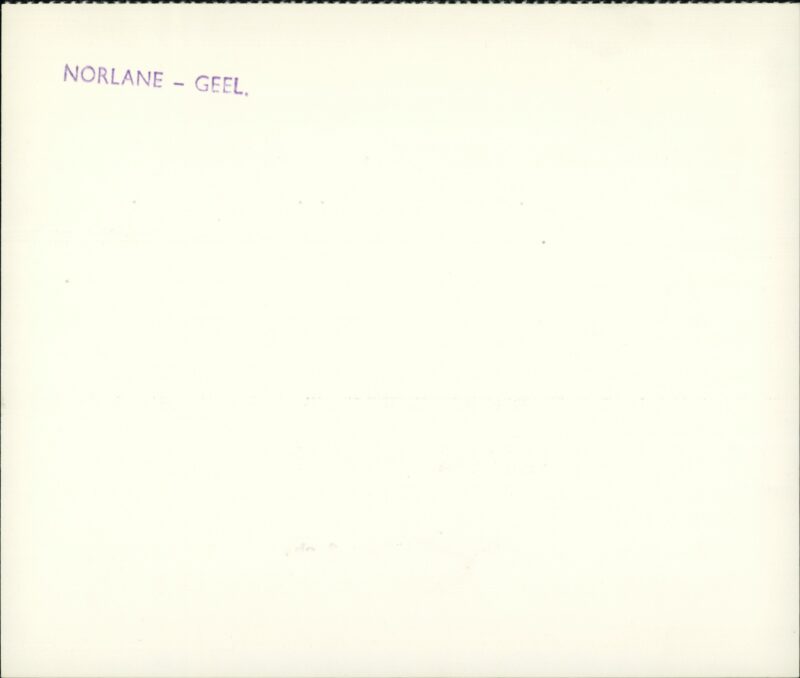 203517242_0002.jpg