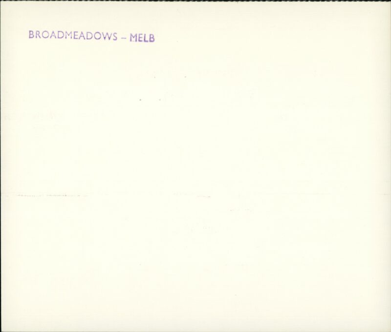 203522284_0002.jpg