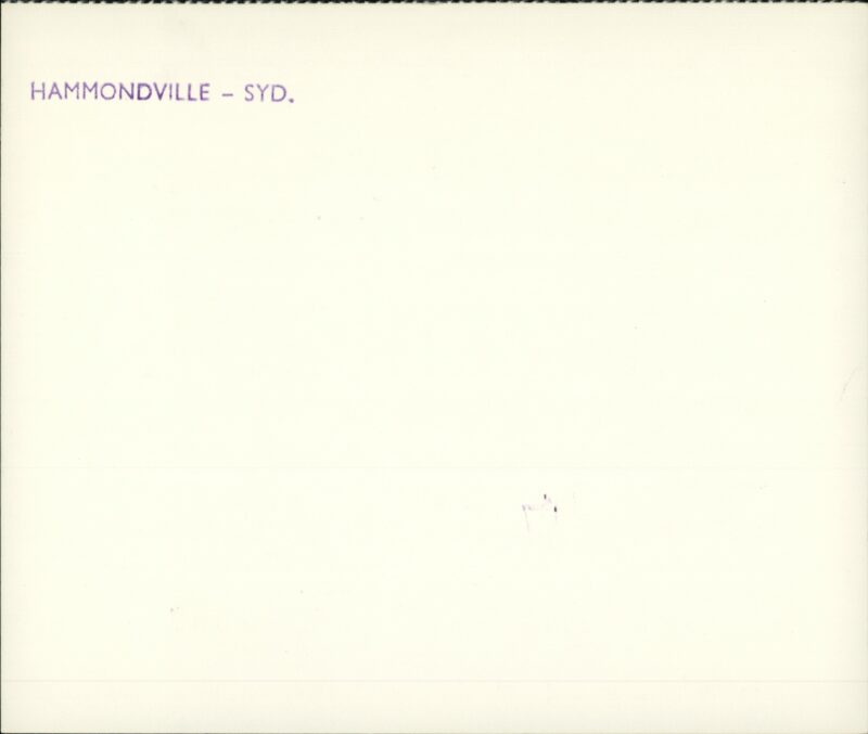 203522309_0002.jpg