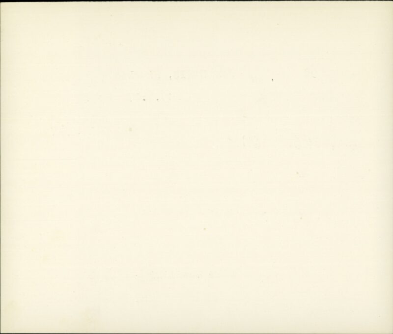 203527627_0002.jpg