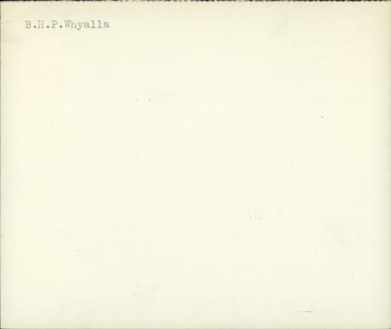 203530879_0002.jpg