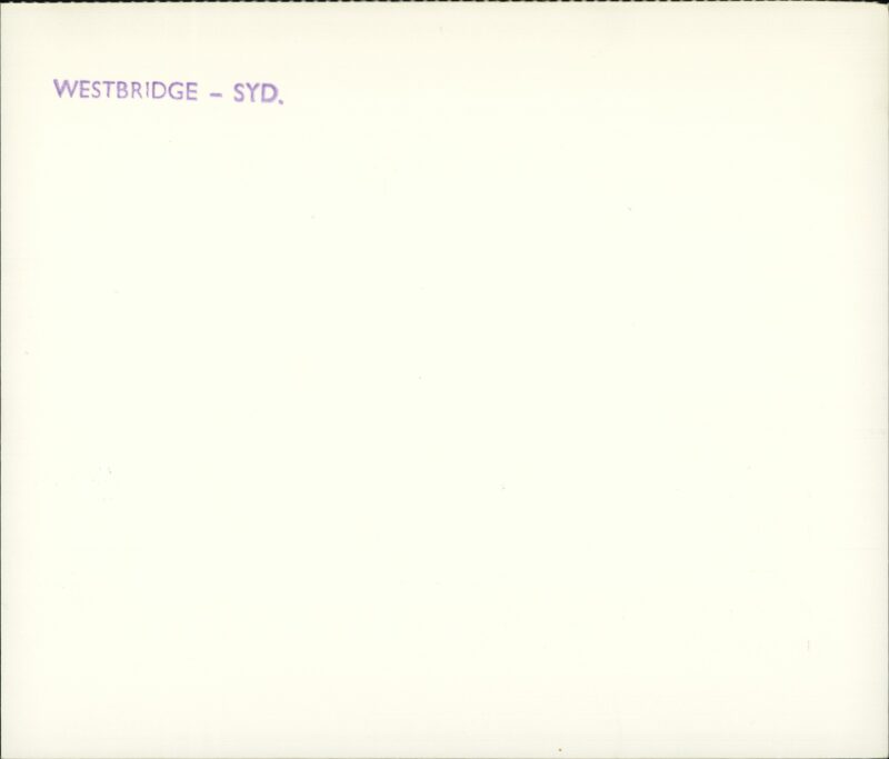 203531081_0002.jpg