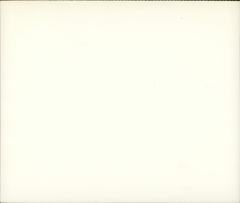 203554621_0002.jpg