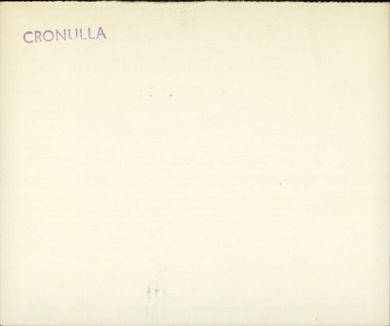 203562989_0002.jpg