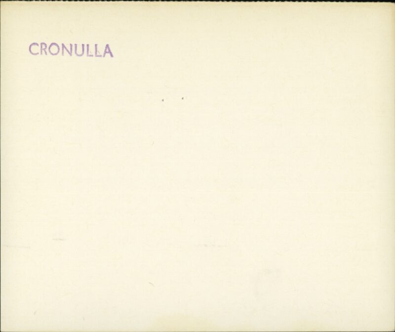 203601099_0002.jpg